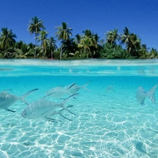 Ocean Breeze Maldives Hotel Thulusdhoo Exterior foto